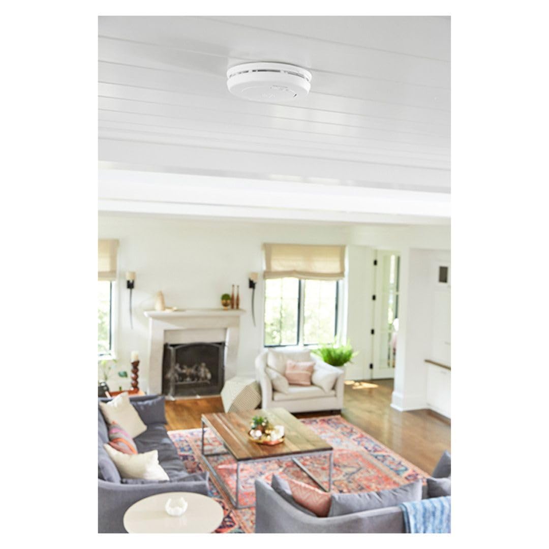 10-Year Battery Smoke and Carbon Monoxide Detector D353