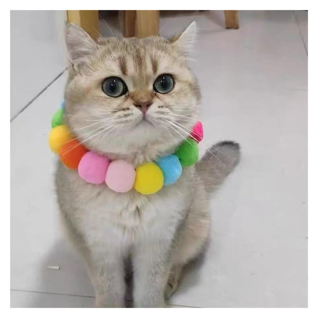 Dog Bow Tie Collar S818