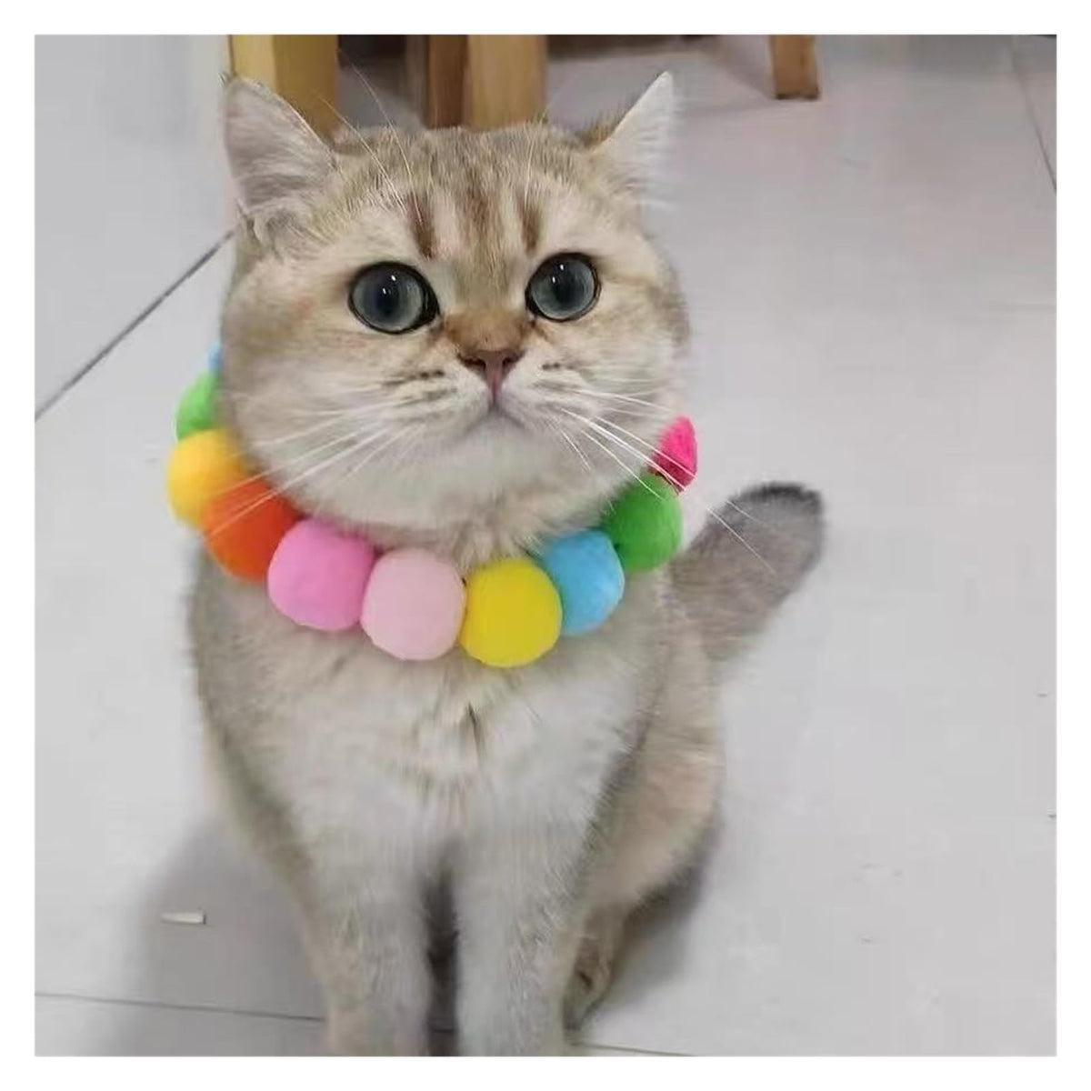 Dog Bow Tie Collar S818