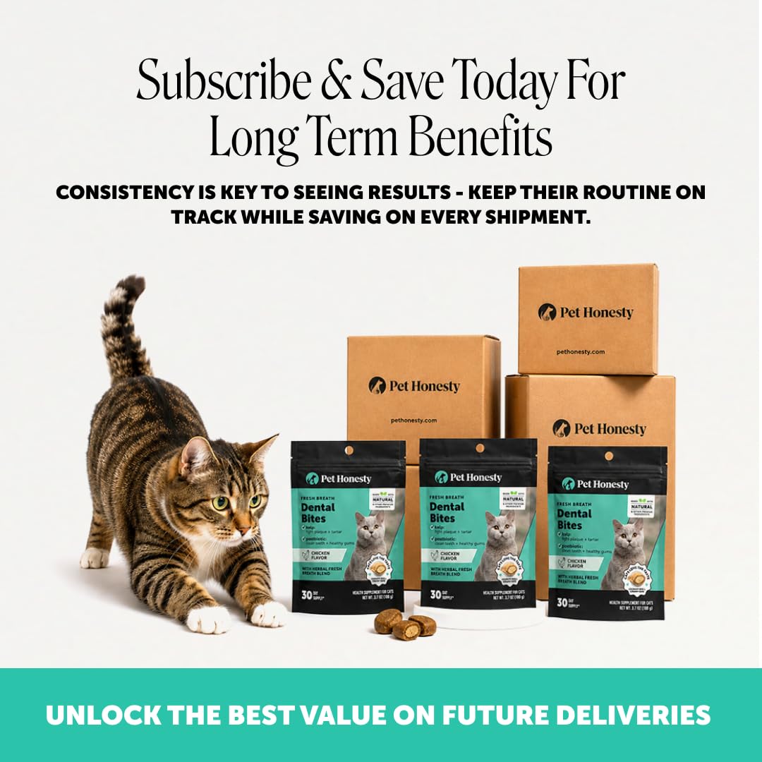 Cat Teeth Cleaning Bites C47400