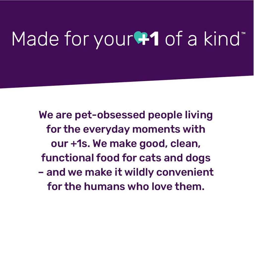 Freeze-Dried Pet Food H650422