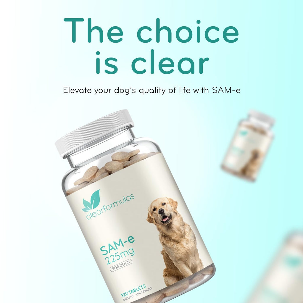 Chewable SAM-e Liver Support Supplement for Dogs 225mg I353152