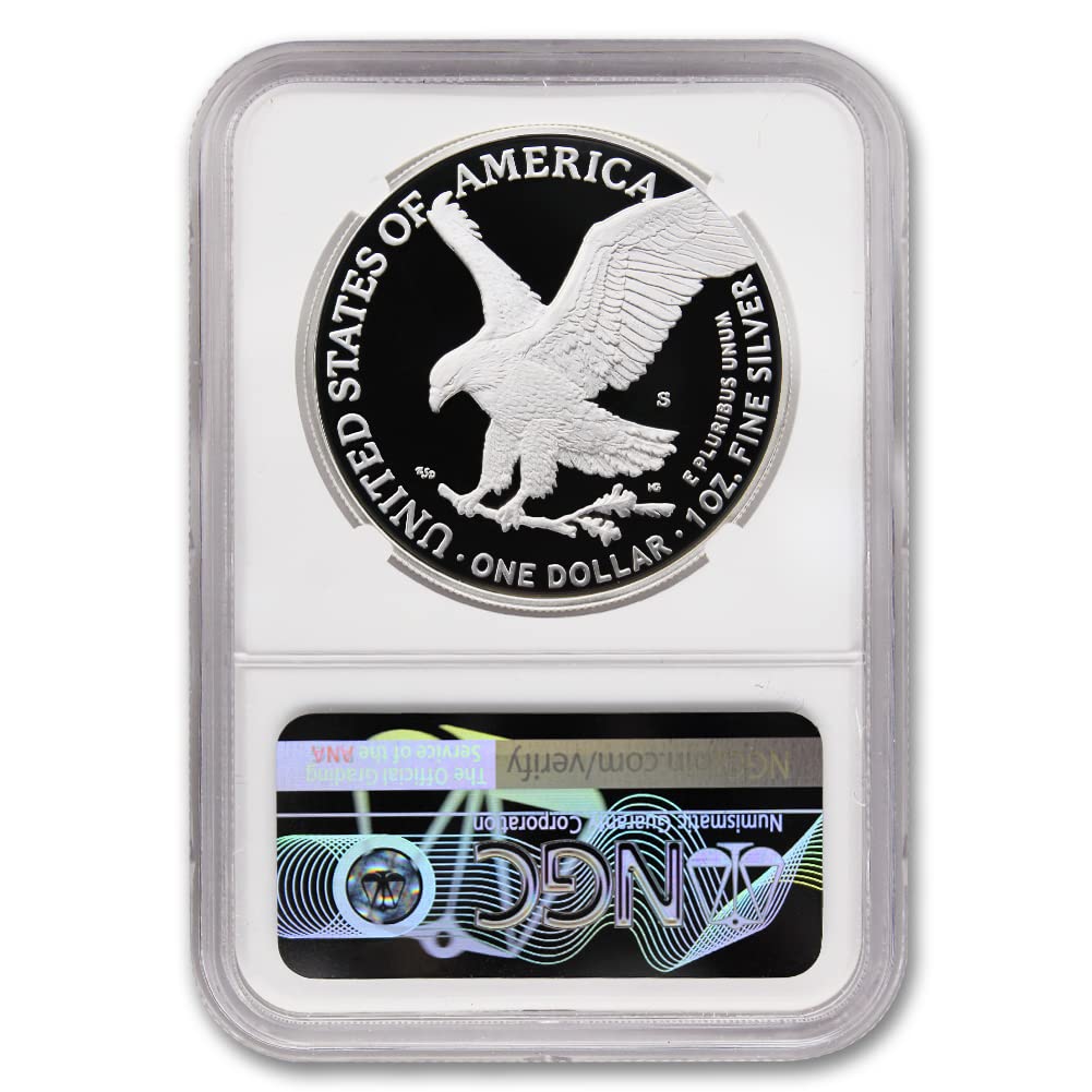 1 oz American Silver Eagle Coin D68691
