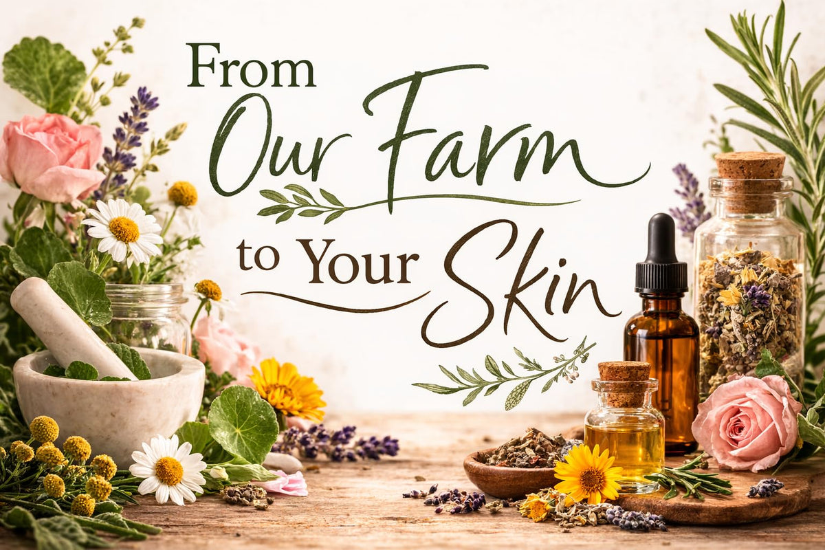 Firming Face Oil with Spilanthes & Gotu Kola, 1 oz L24899