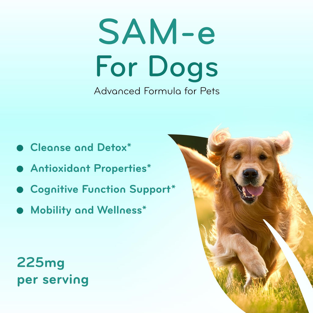Chewable SAM-e Liver Support Supplement for Dogs 225mg I353152