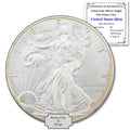 1 oz American Silver Eagle Coin I759