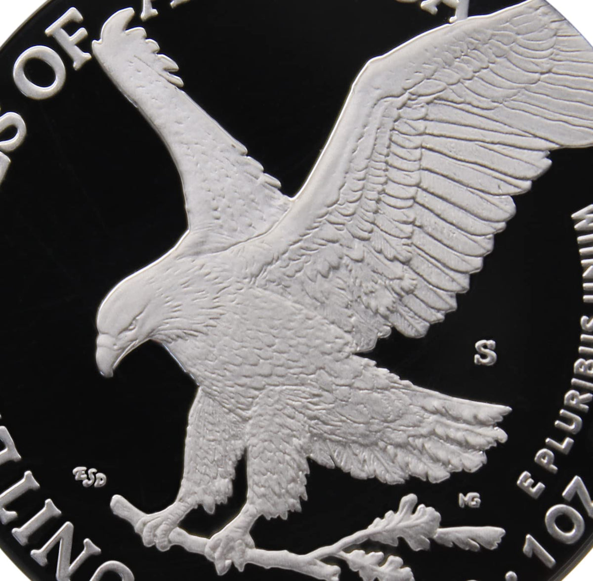 1 oz American Silver Eagle Coin D68691