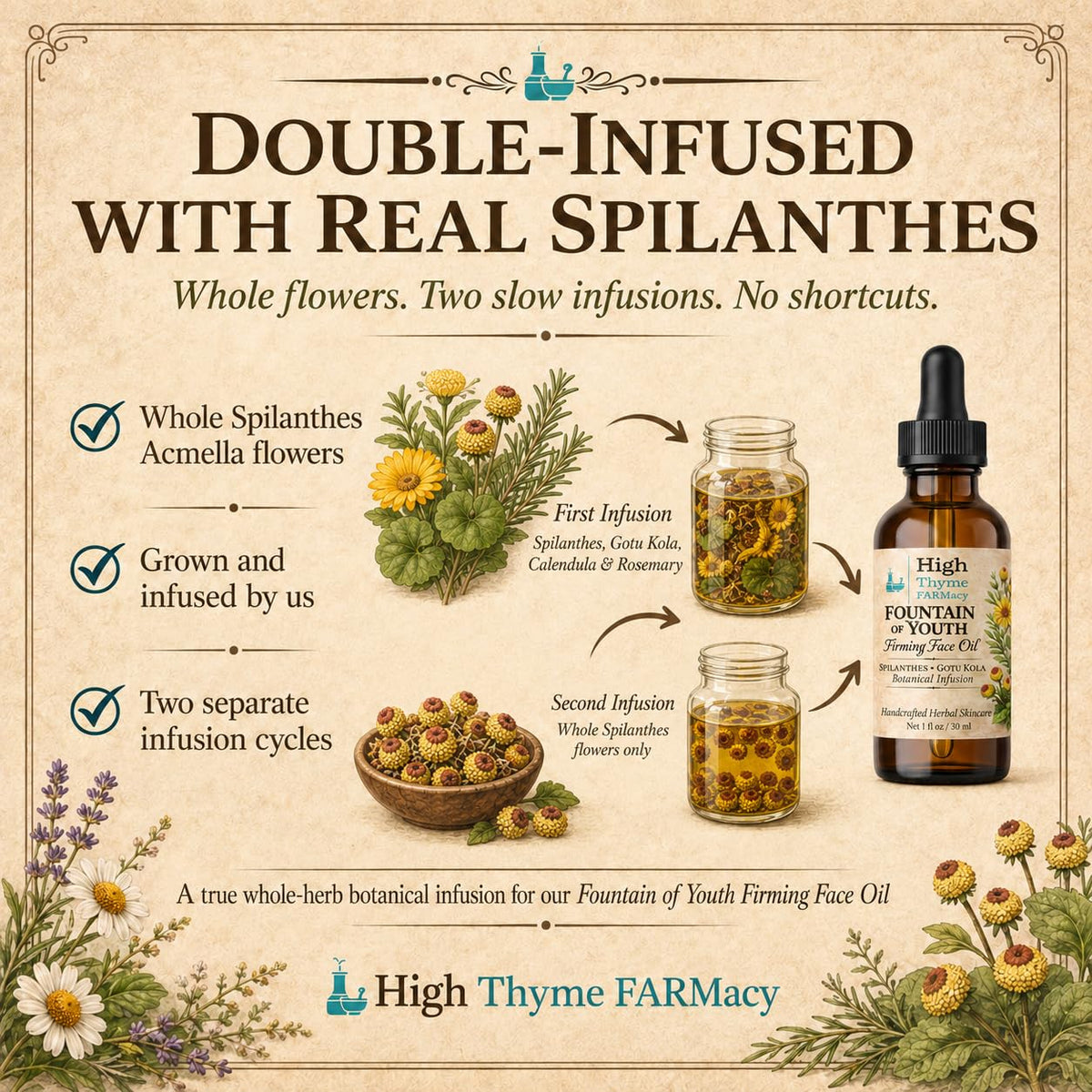 Firming Face Oil with Spilanthes & Gotu Kola, 1 oz L24899