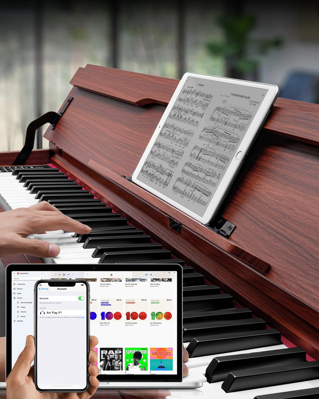 88 Keys Hammer-Action Fully Weighted Digital Piano with Furniture Stand D68812