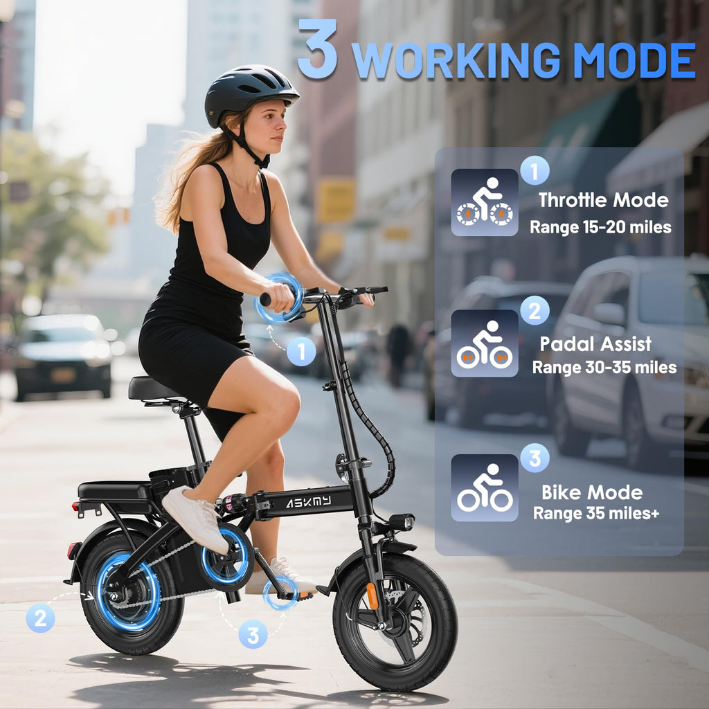 Foldable 14 Inch Electric Bike F295