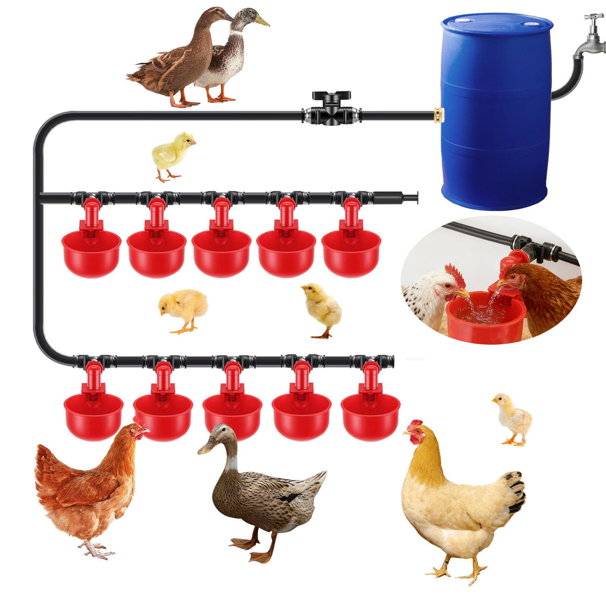 Automatic Chicken Watering System with 10 Red Cups N7556