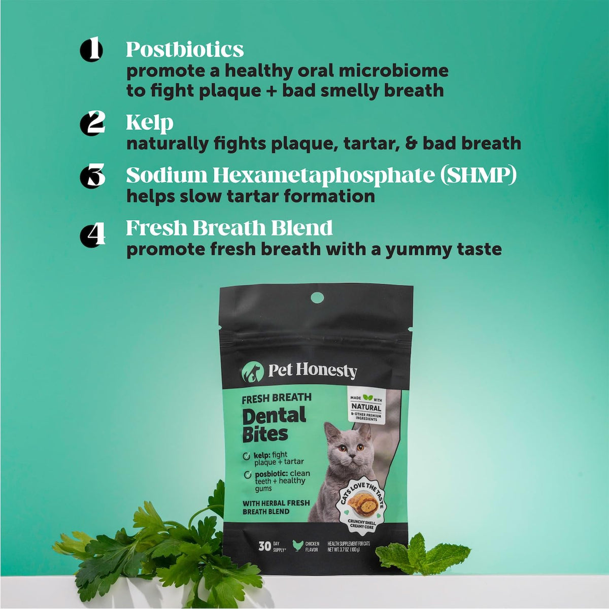Cat Teeth Cleaning Bites C47400