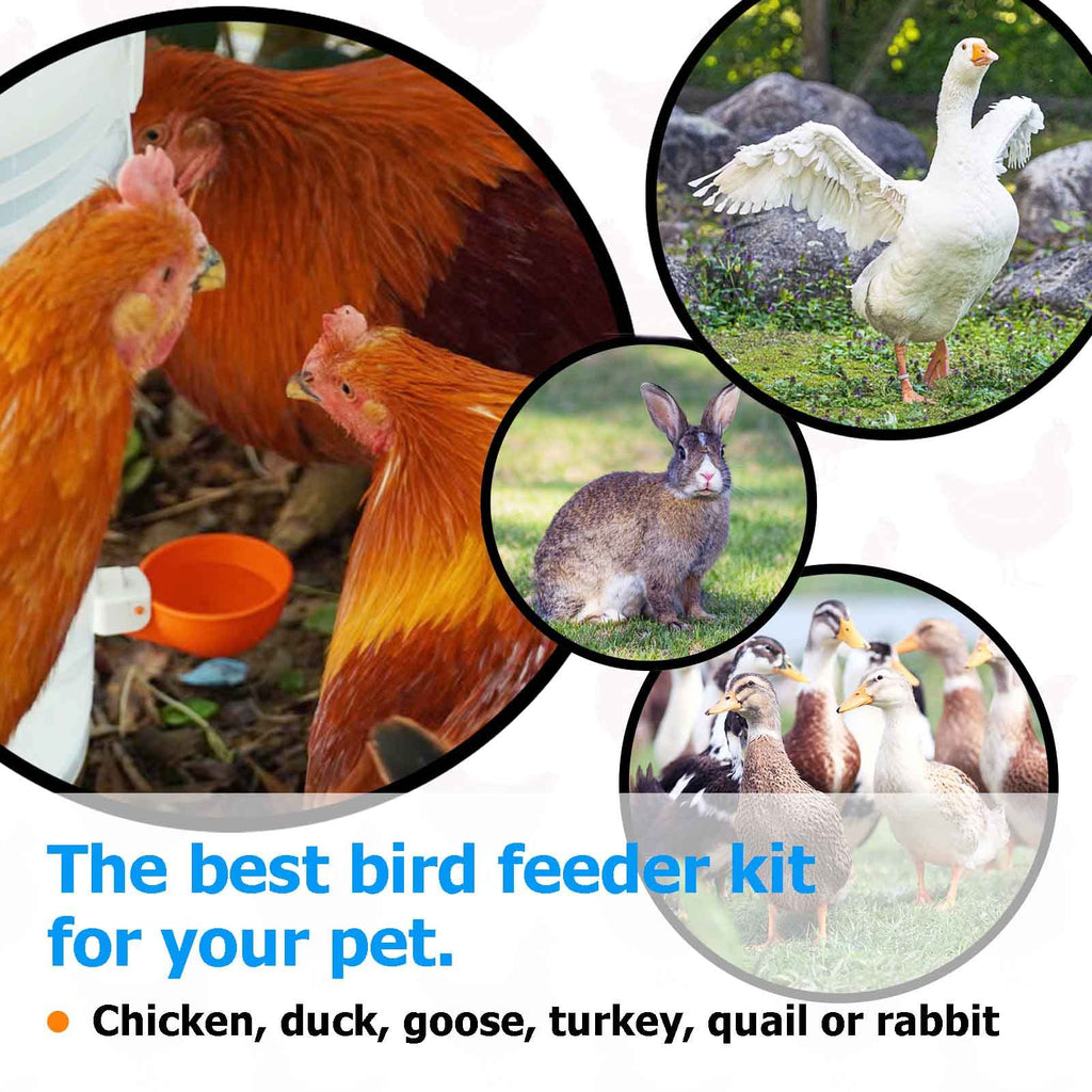 Large Automatic Chicken Waterer Cups with Inserts 5 Pack W205122