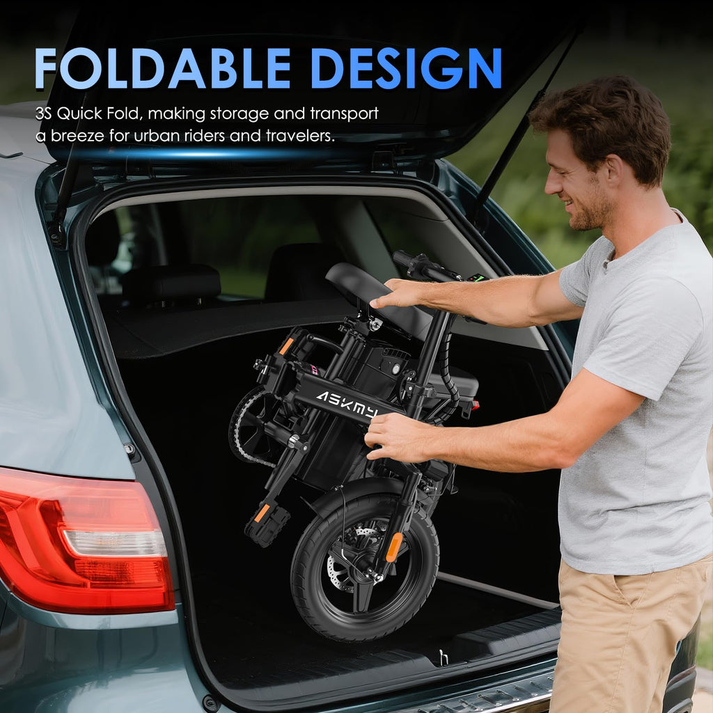 Foldable 14 Inch Electric Bike F295