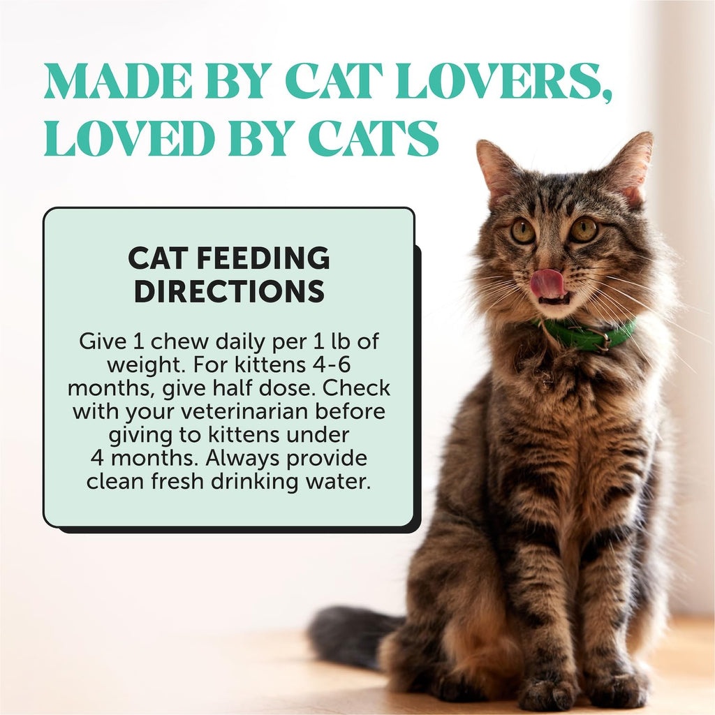 Cat Teeth Cleaning Bites C47400