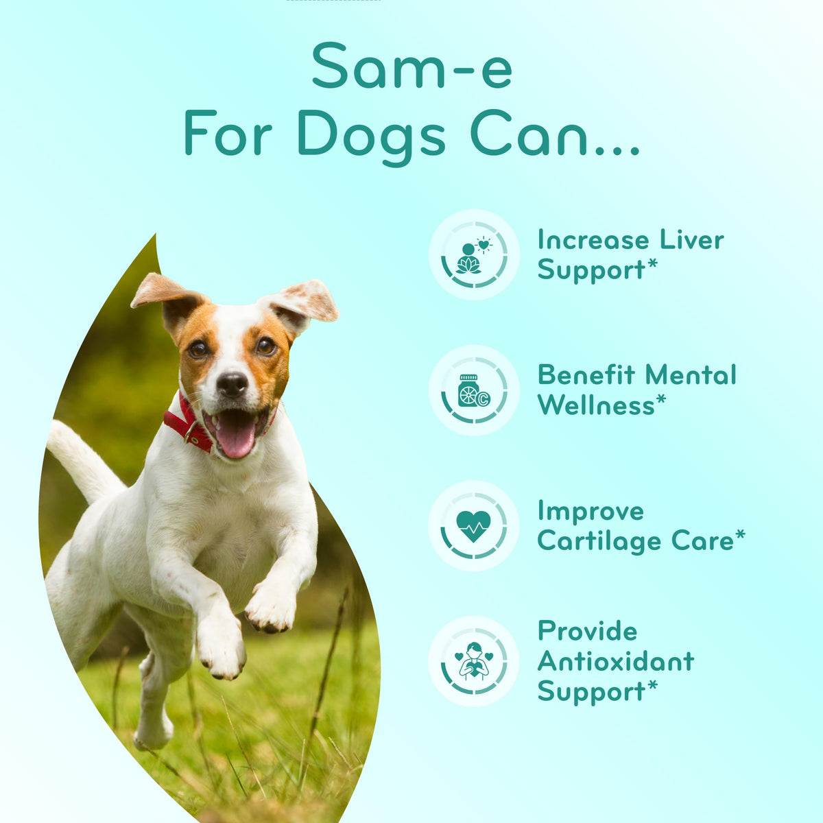 Chewable SAM-e Liver Support Supplement for Dogs 225mg I353152