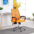 Ergonomic Mesh High Back Swivel Office Chair Q2241