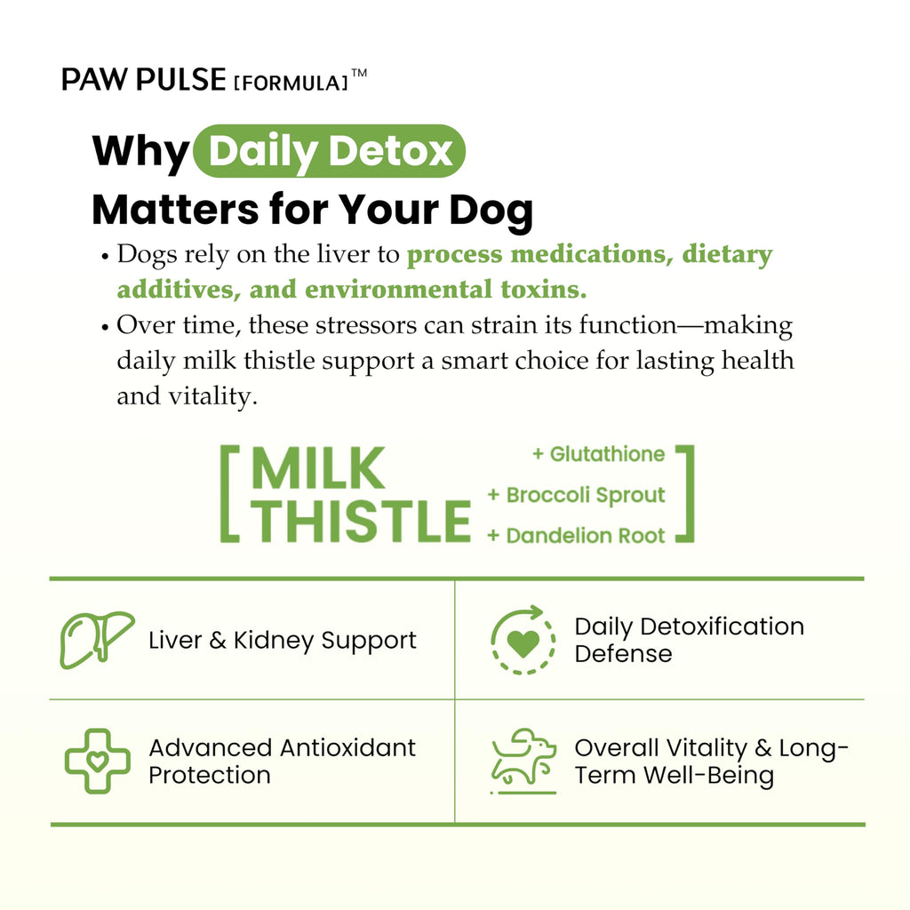 Milk Thistle & Silymarin Powder Liver Support for Dogs 2.12 oz B710273