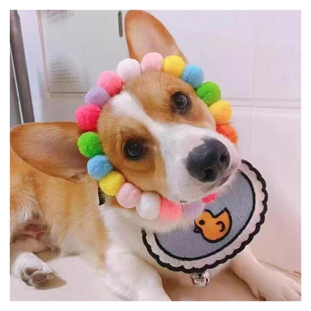 Dog Bow Tie Collar S818