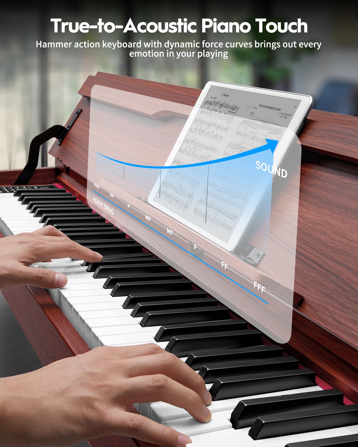 88 Keys Hammer-Action Fully Weighted Digital Piano with Furniture Stand D68812