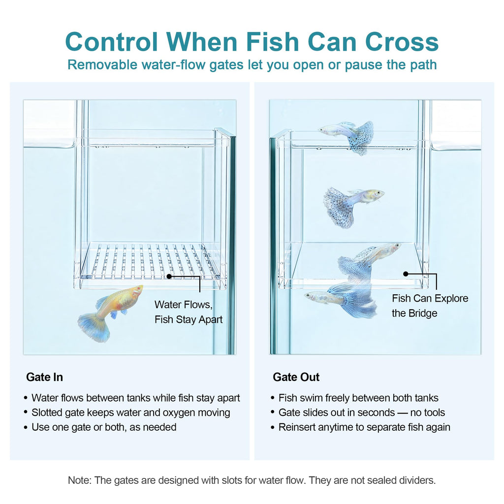 Aquarium Bridge Fish Tank Kit I2700