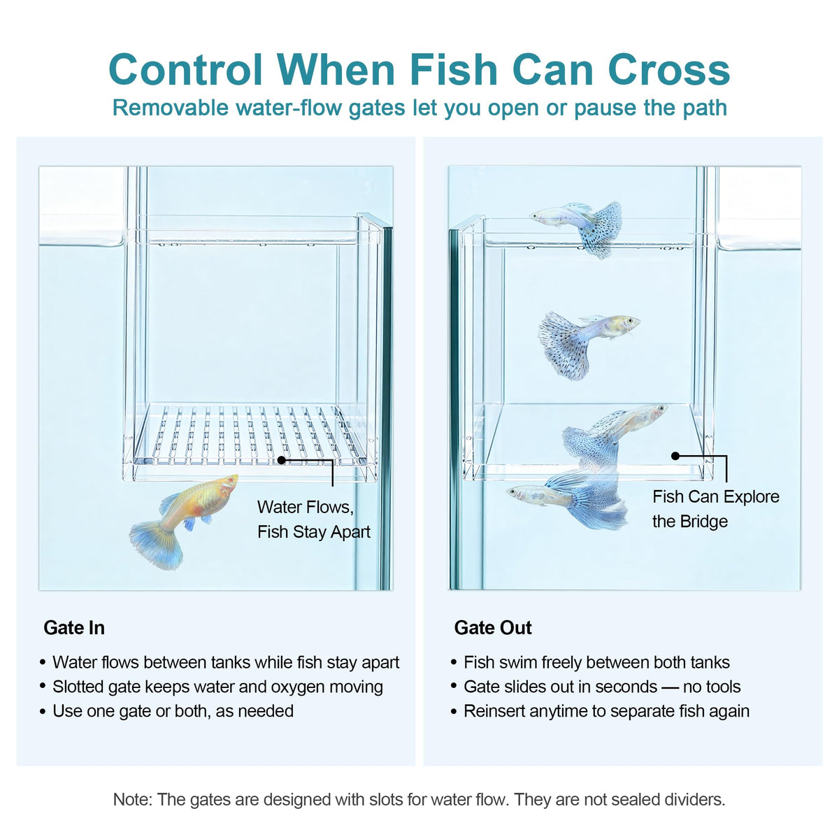 Aquarium Bridge Fish Tank Kit I2700