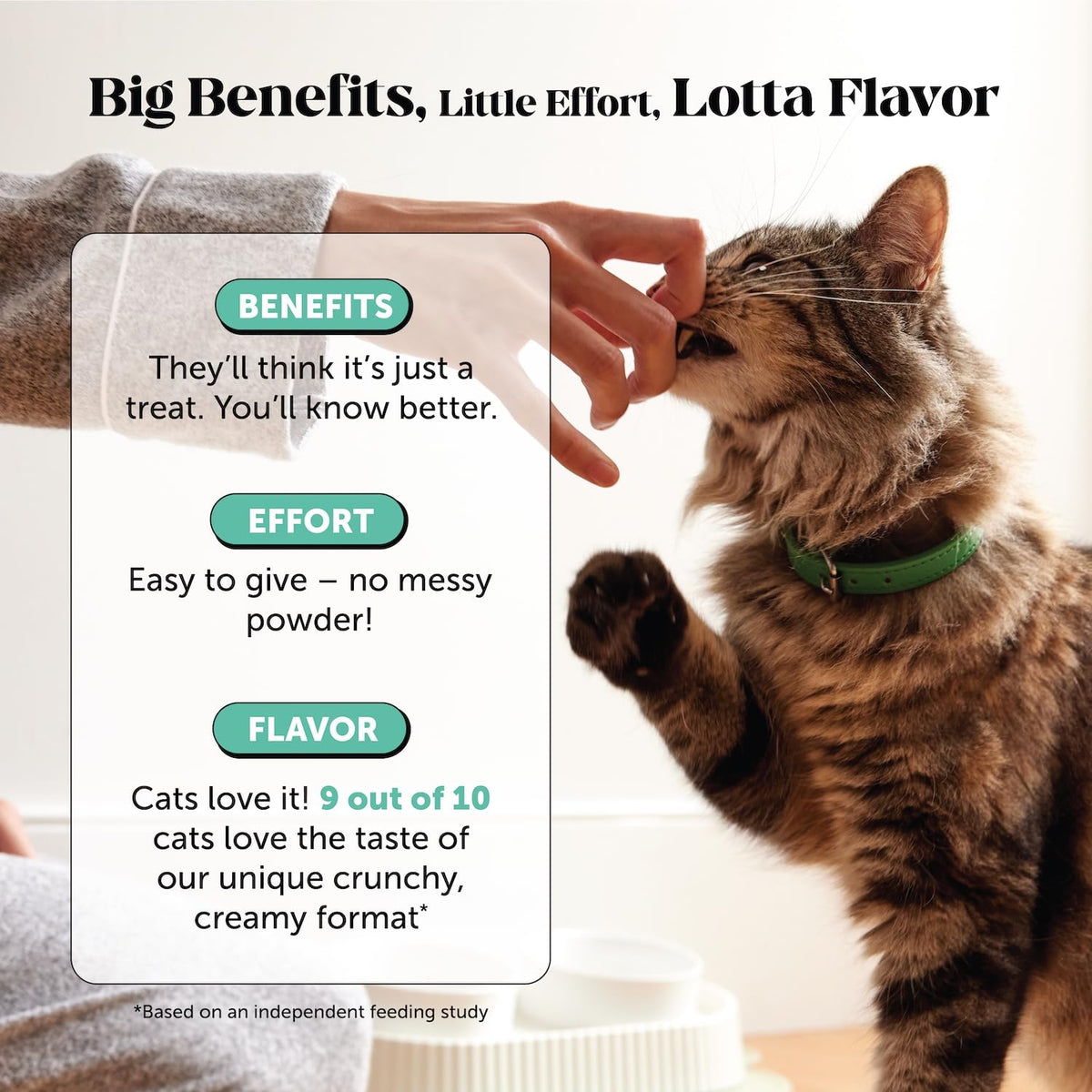 Cat Teeth Cleaning Bites C47400