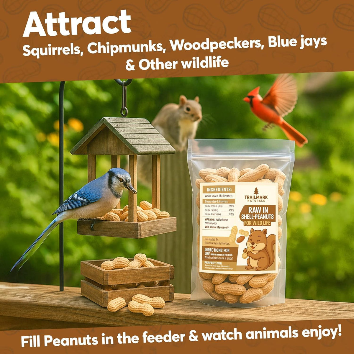 Raw Peanuts for Squirrels and Birds, 12 Pounds K663