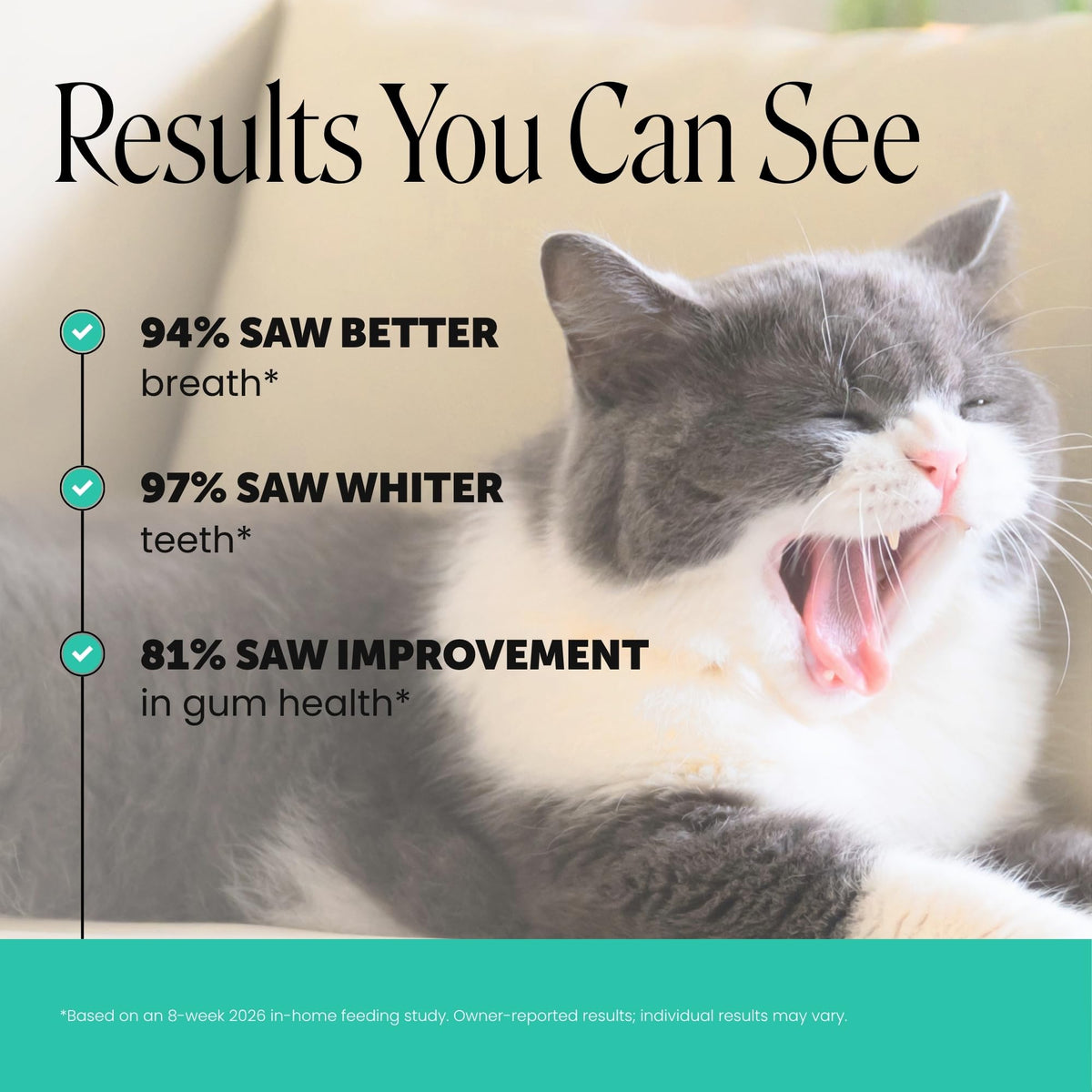 Cat Teeth Cleaning Bites C47400