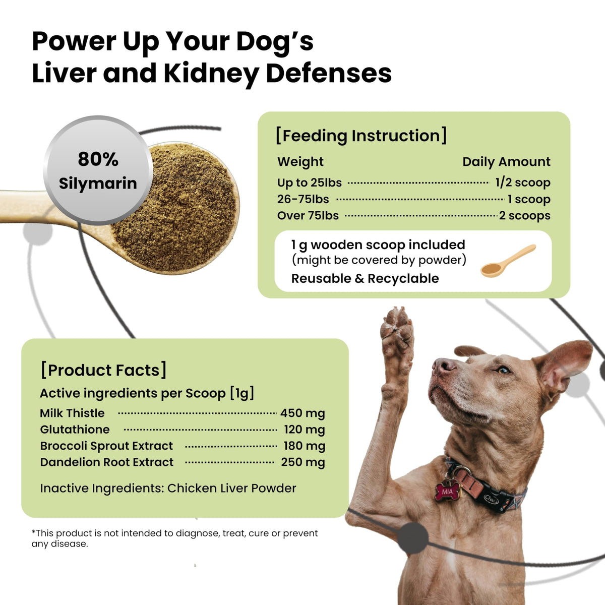 Milk Thistle & Silymarin Powder Liver Support for Dogs 2.12 oz B710273