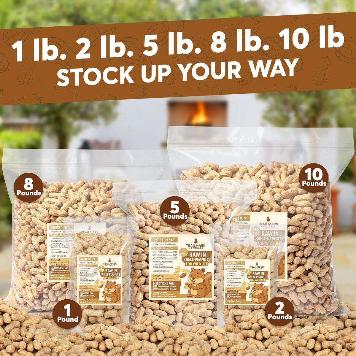 Raw Peanuts for Squirrels and Birds, 12 Pounds K663