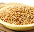 Hard White Spring Wheat Berries 25 Lb Bag A179