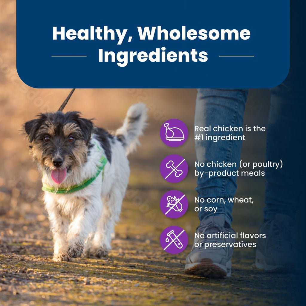 Chicken Adult Dry Dog Food, 4 lb S4180