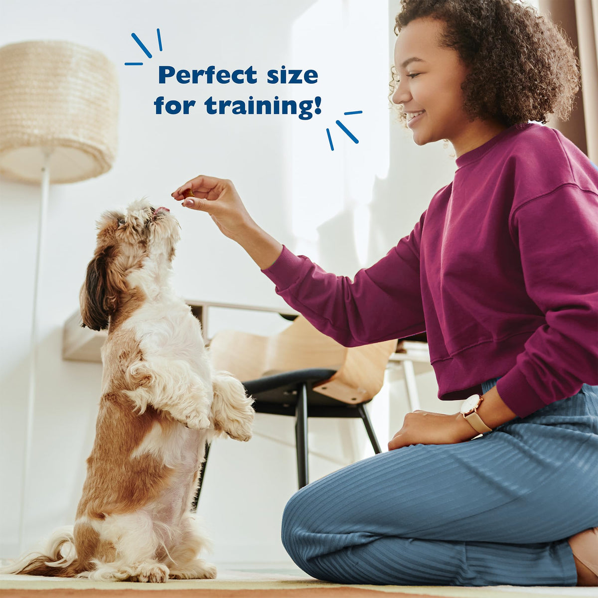 Soft Training Treats for Dogs with Chicken Liver 20oz 2-Pack J417