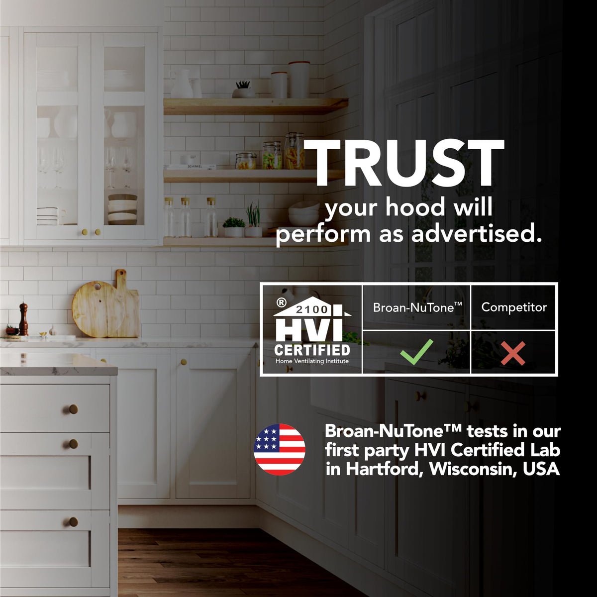 30-Inch Stainless Steel Under-Cabinet Range Hood F35761