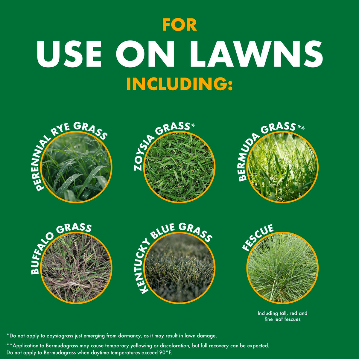 Weed and Crabgrass Killer 1 Gal N891385