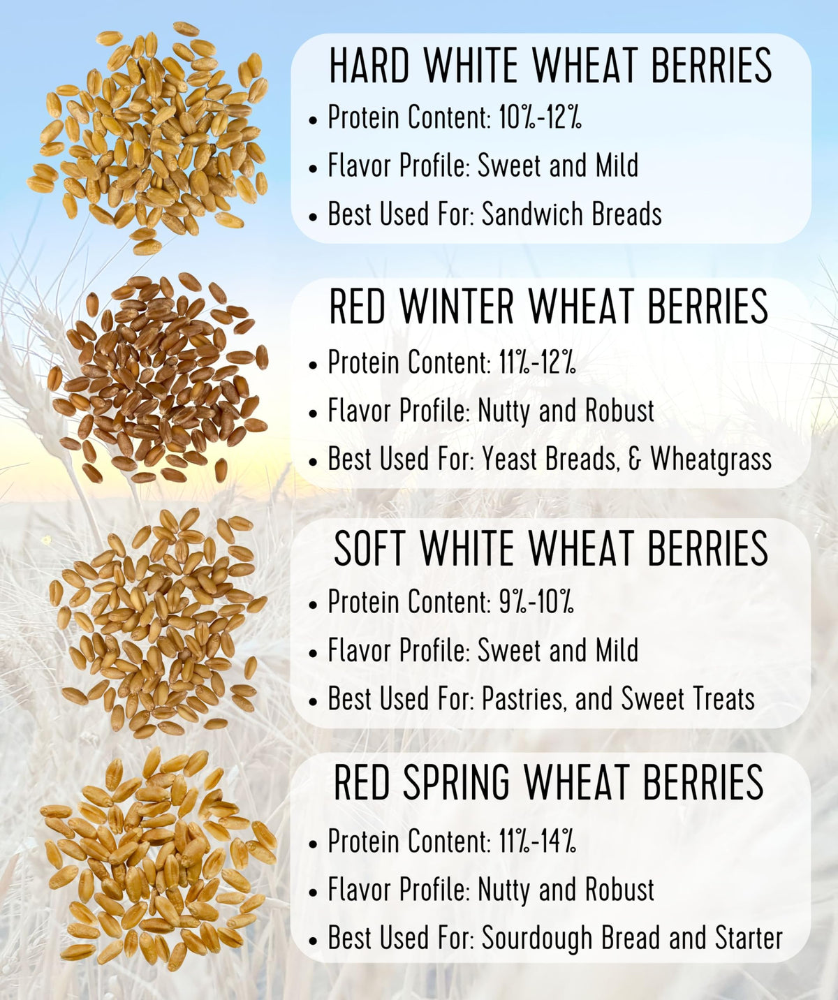 Hard Red Winter Wheat Berries 25 LBS Bucket R90816