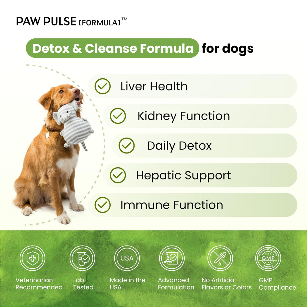 Milk Thistle & Silymarin Powder Liver Support for Dogs 2.12 oz B710273