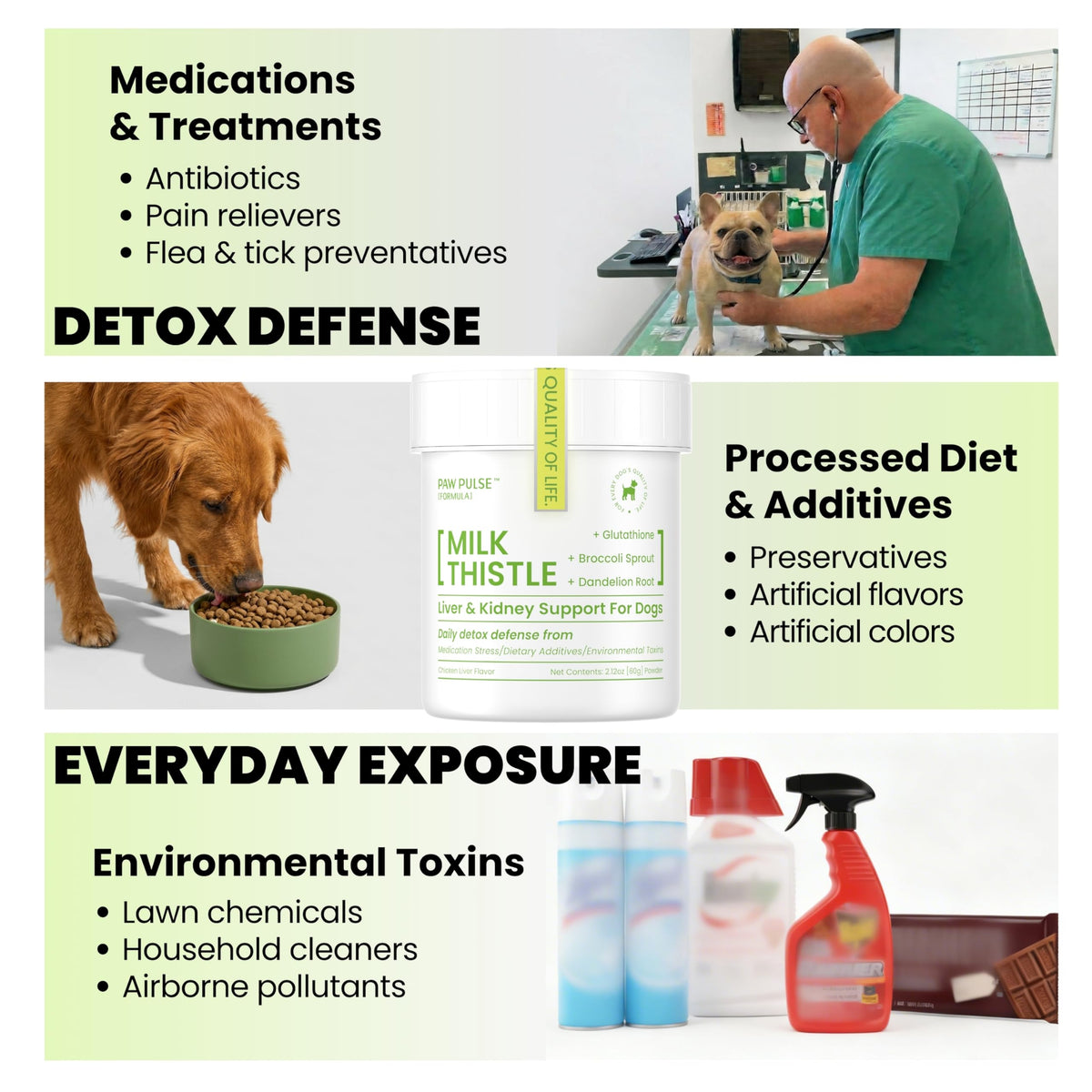 Milk Thistle & Silymarin Powder Liver Support for Dogs 2.12 oz B710273