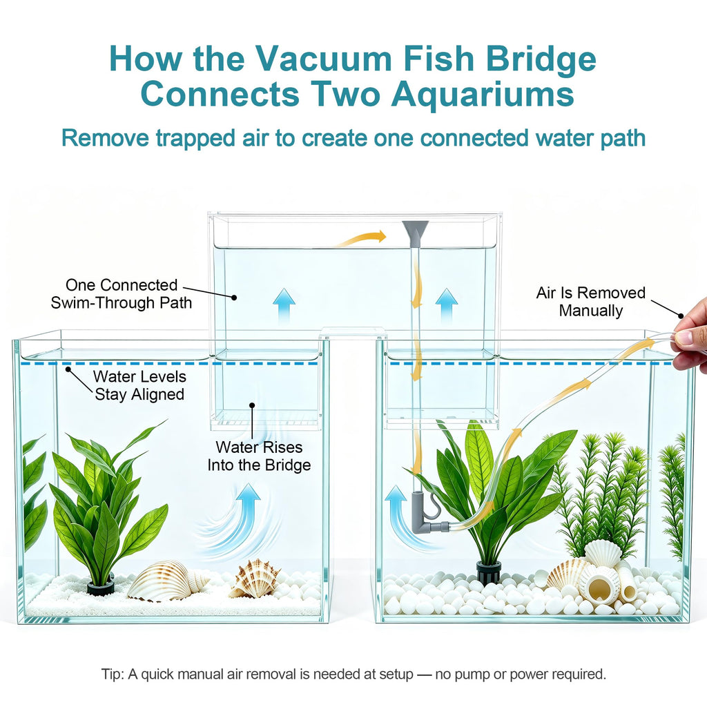 Aquarium Bridge Fish Tank Kit I2700