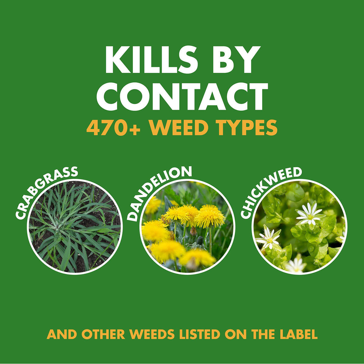 Weed and Crabgrass Killer 1 Gal N891385