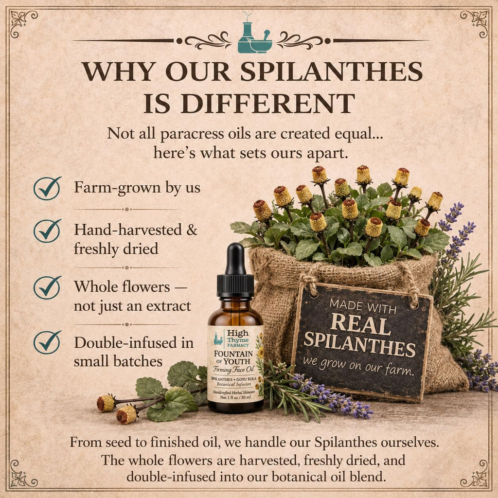 Firming Face Oil with Spilanthes & Gotu Kola, 1 oz L24899